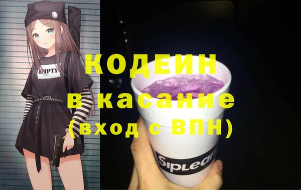 трава Ельня