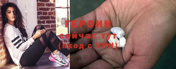 трава Ельня