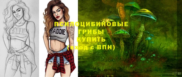PSILOCYBIN Струнино