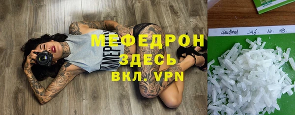 трава Ельня