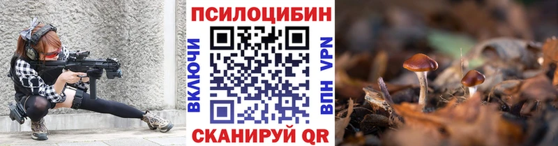 закладка  Избербаш  Галлюциногенные грибы мицелий 